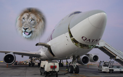Qatar Airways Cargo Plan Lion Rescue
