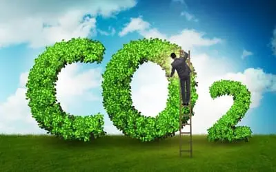 Climate Partners and Carbon Footprint Measurement Road to net Zero
