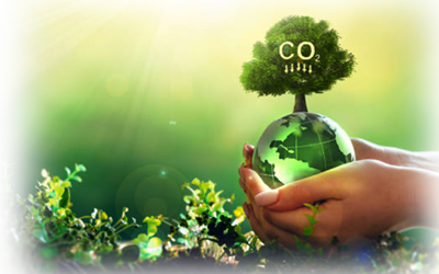 Low carbon Fuels Co2
Carbon Footprint 
Climate Change